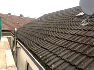Dachsanierung