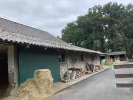 Steildachsanierung Sievering