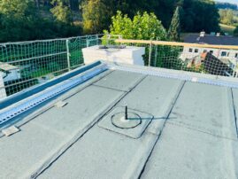 Flachdach mit grauen Bitumenbahnen und einem Dachbegrünungselement in der Mitte.